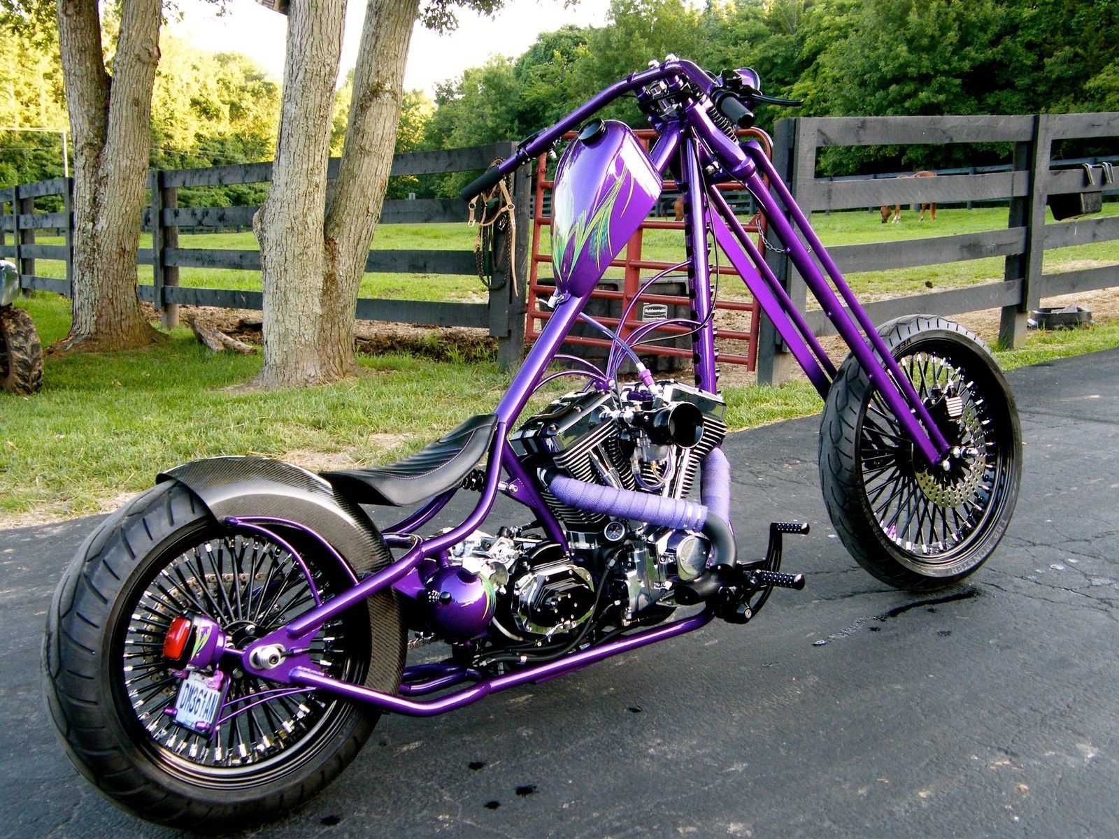 2016 Saint Louis Style Derake Chopper OR Grasshopper HOT ROD Dropseat MONST...