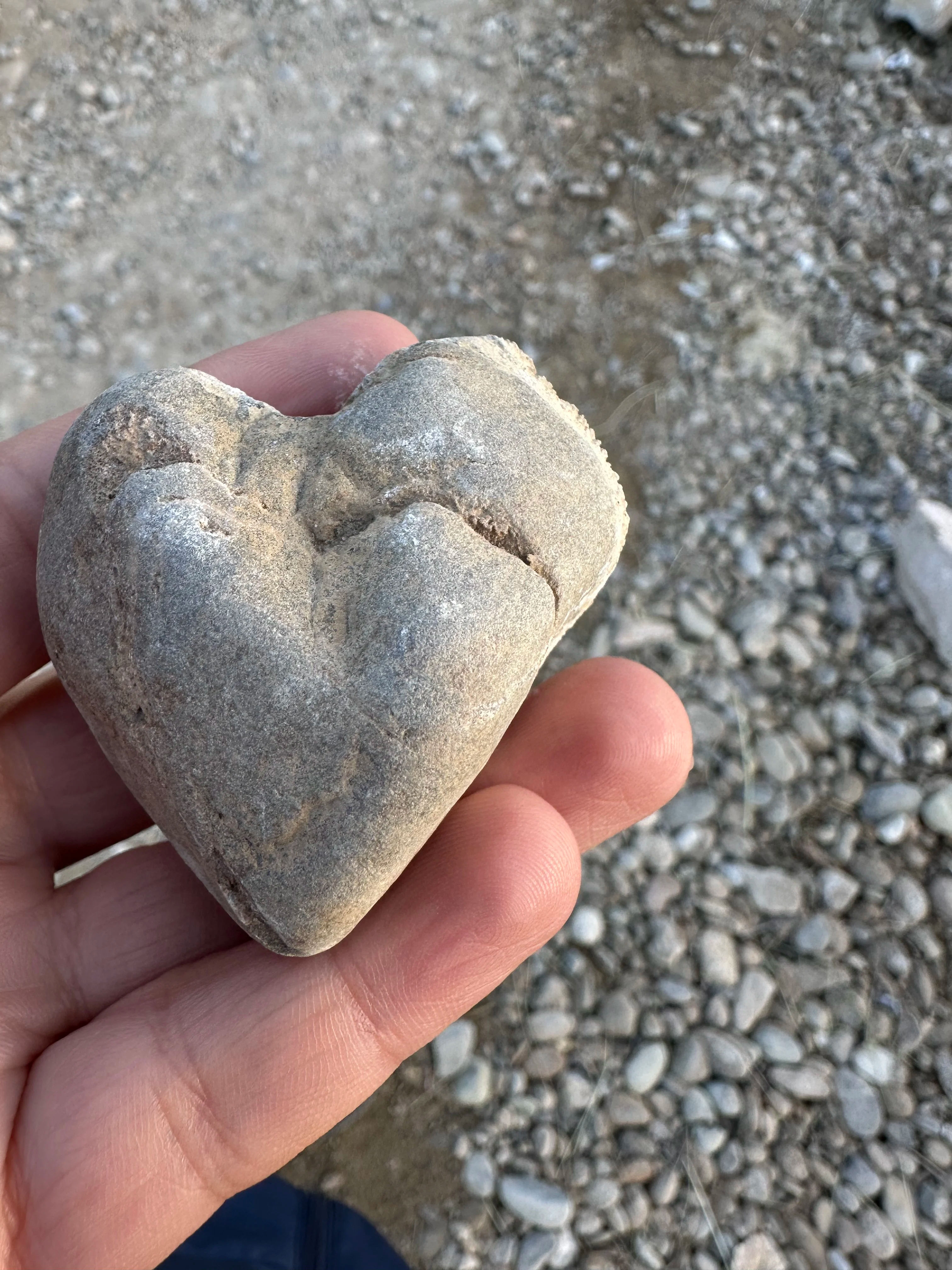 Rocks we hold close to our heart