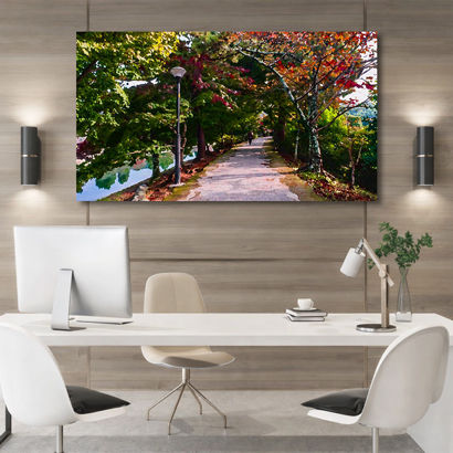 Enchanted Sunlit Forest Path - Large Canvas Wall Art
