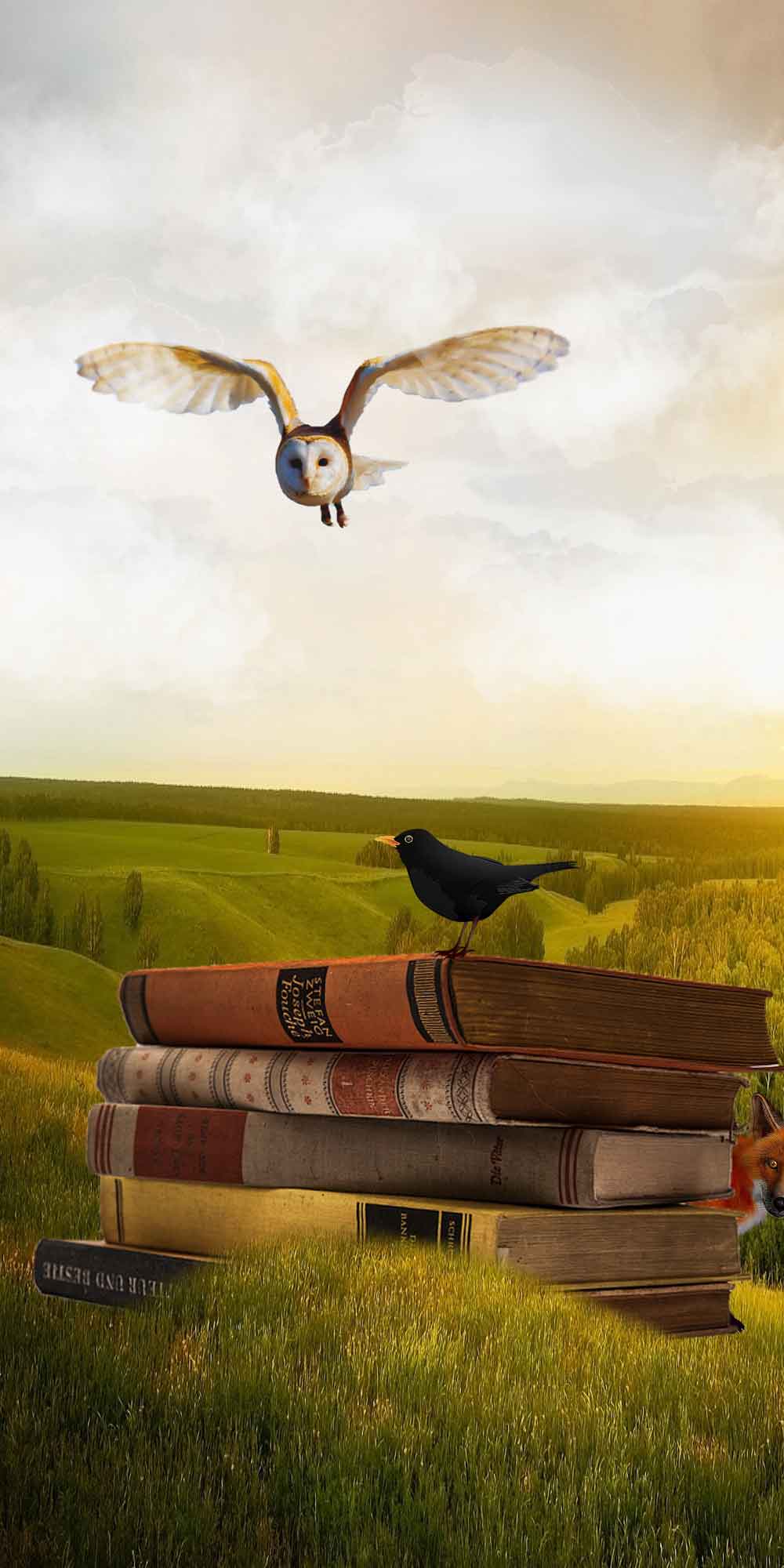 Enchanted Books Owl Fantasy Door Wallpaper close-up pattern texture