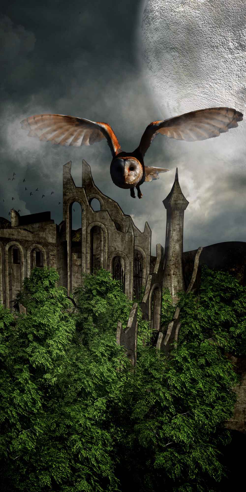 Gothic Owl Ruins Dark Fantasy Door Wallpaper close-up pattern texture