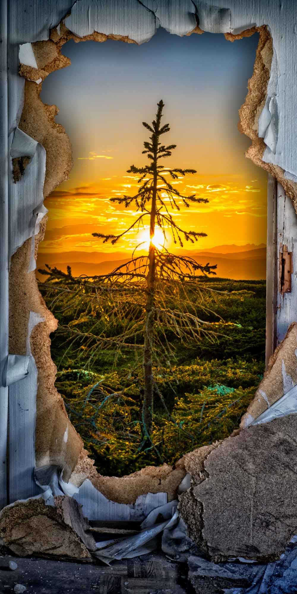 3D Cracked Wall Sunrise Pine Tree Door Wallpaper close-up pattern texture