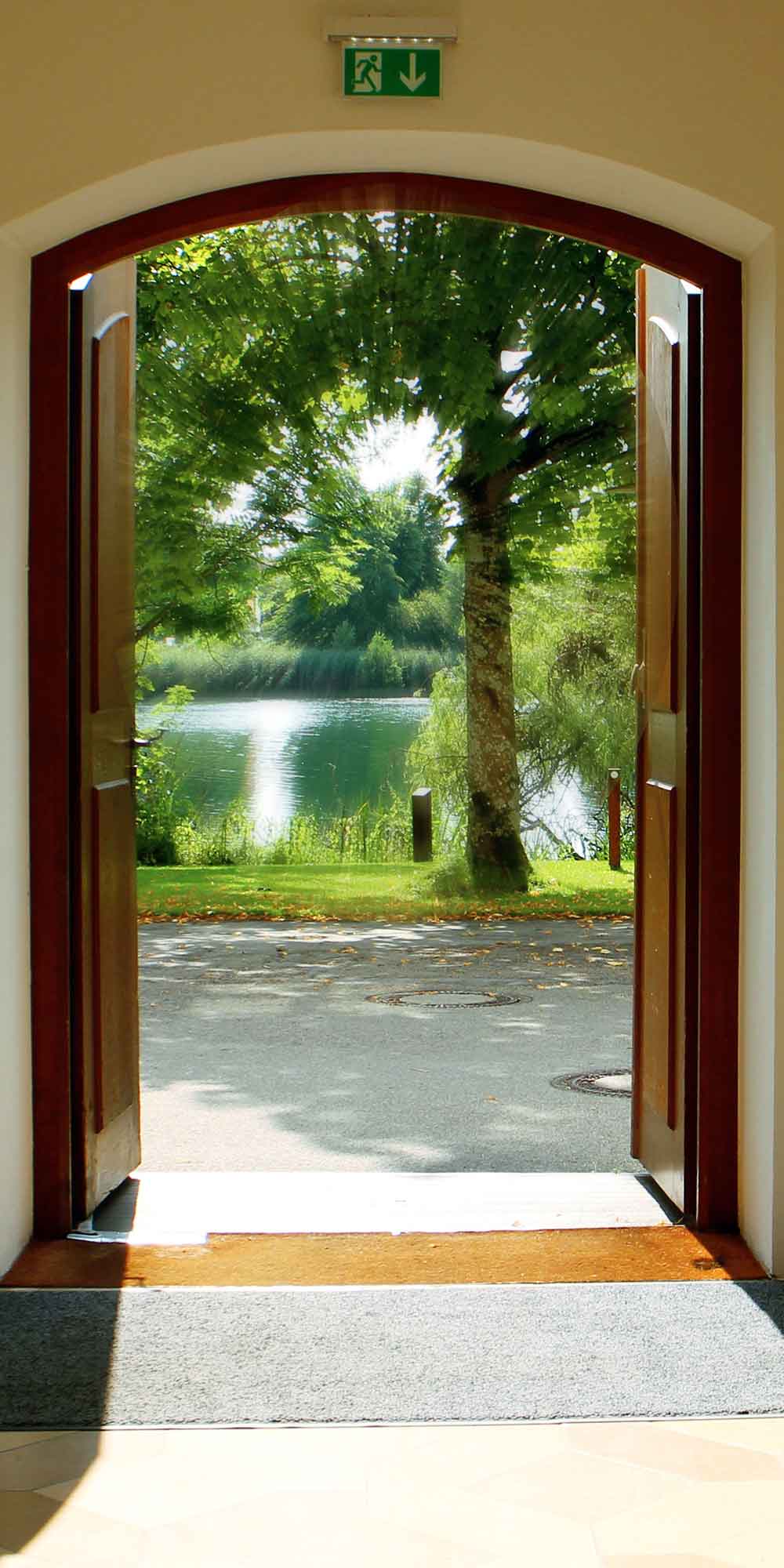 Sunny Boardwalk Reed Meadow Door Wallpaper close-up pattern texture