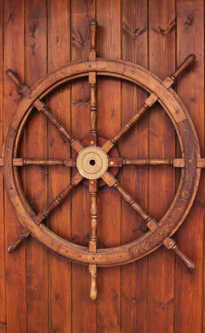 Bay Horse Portrait Stable Door Wallpaper close-up pattern texture