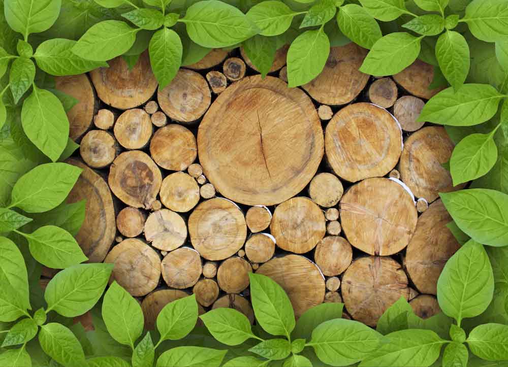 Stacked Log Wood Cross-Section Door Wallpaper close-up pattern texture