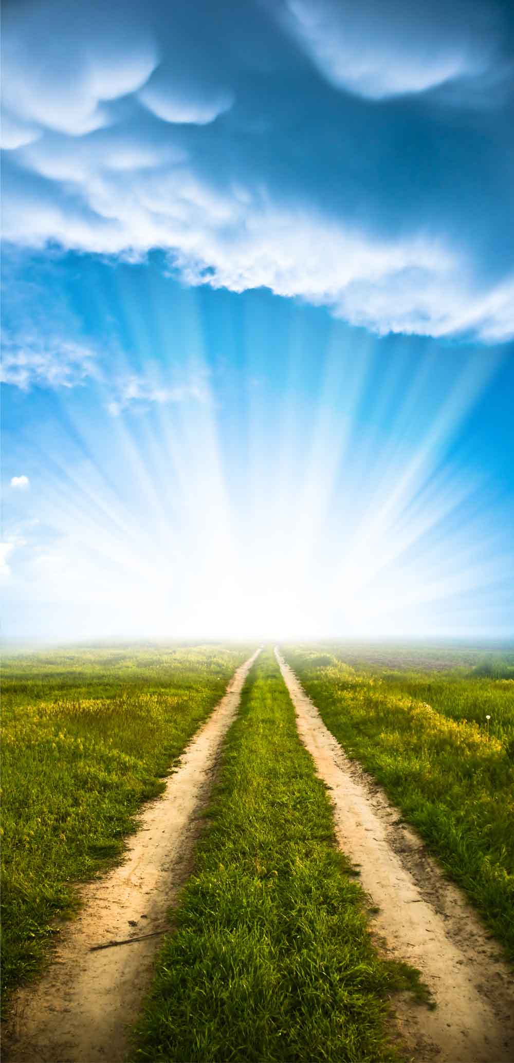 Heavenly Country Road Sunburst Door Wallpaper close-up pattern texture