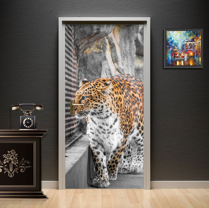 Wild Leopard Rock Wildlife Door Wallpaper installed on a study door