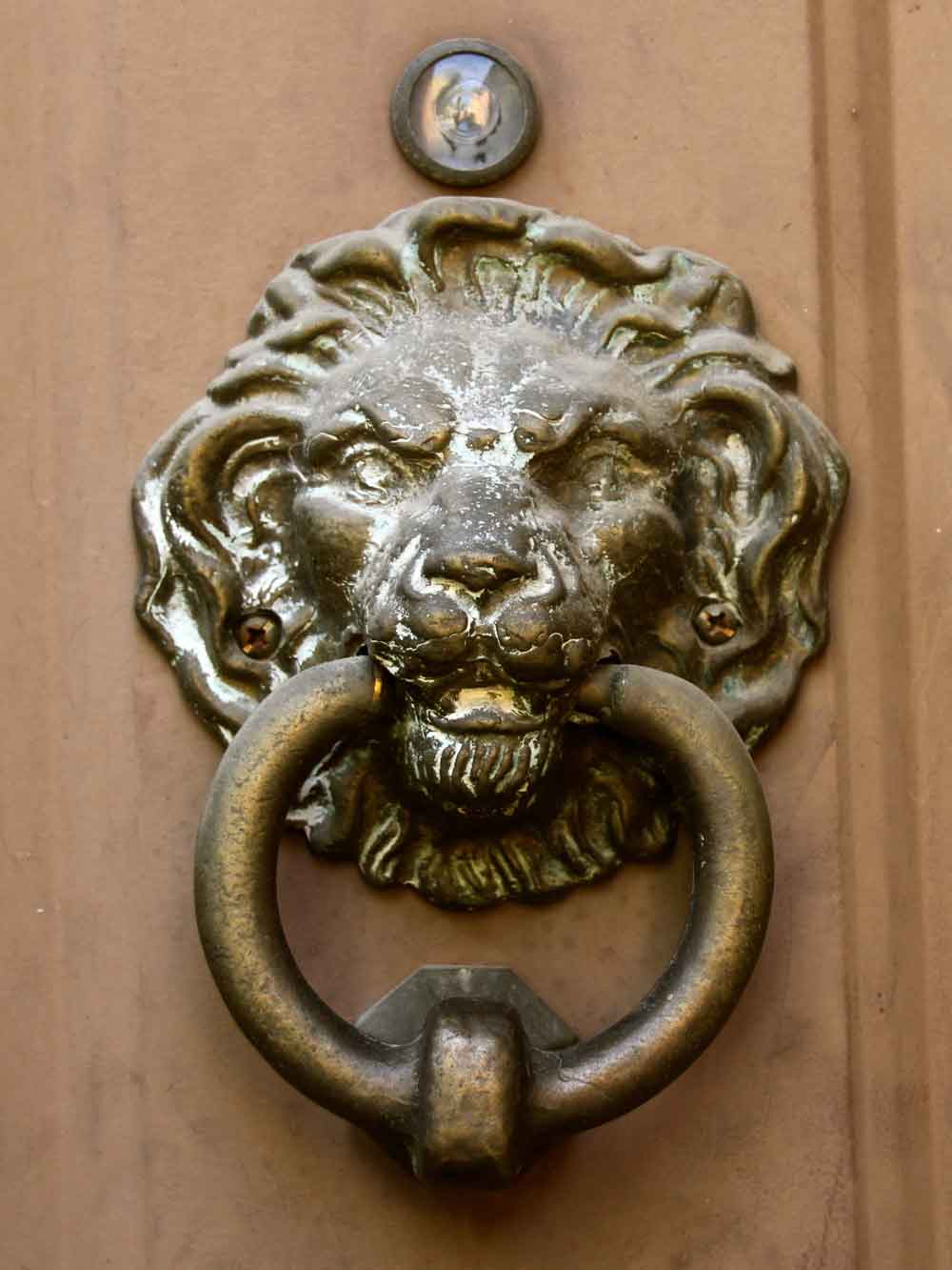 Antique Bronze Lion Head Door Knocker Door Wallpaper close-up pattern texture