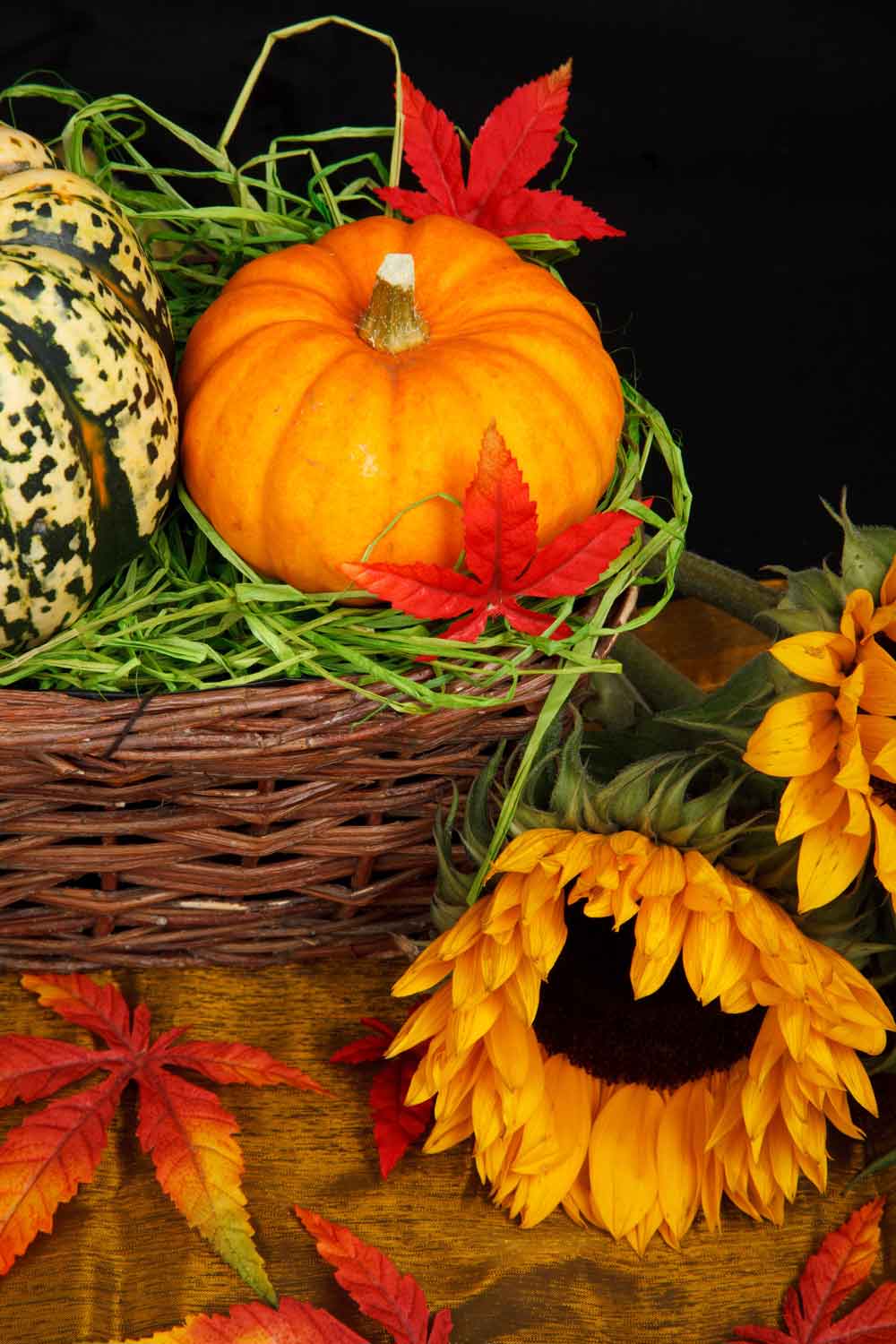 Autumn Harvest Pumpkin and Sunflower Door Wallpaper close-up pattern texture