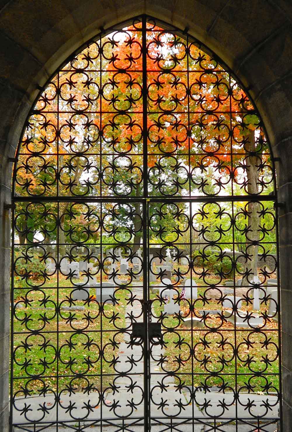 Gothic Arched Iron Gate Garden View Door Wallpaper close-up pattern texture