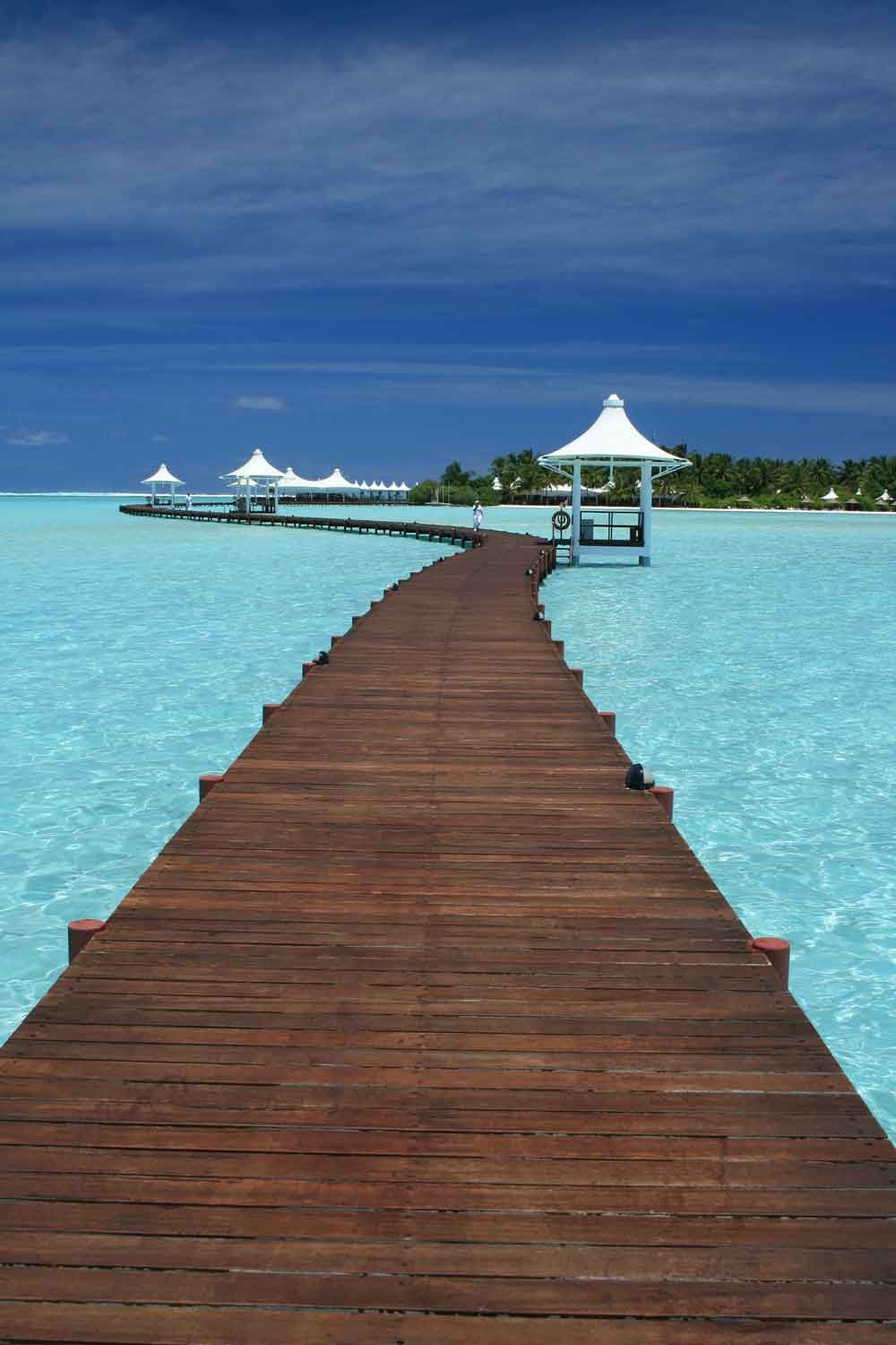 Tropical Beach Boardwalk Door Wallpaper close-up pattern texture
