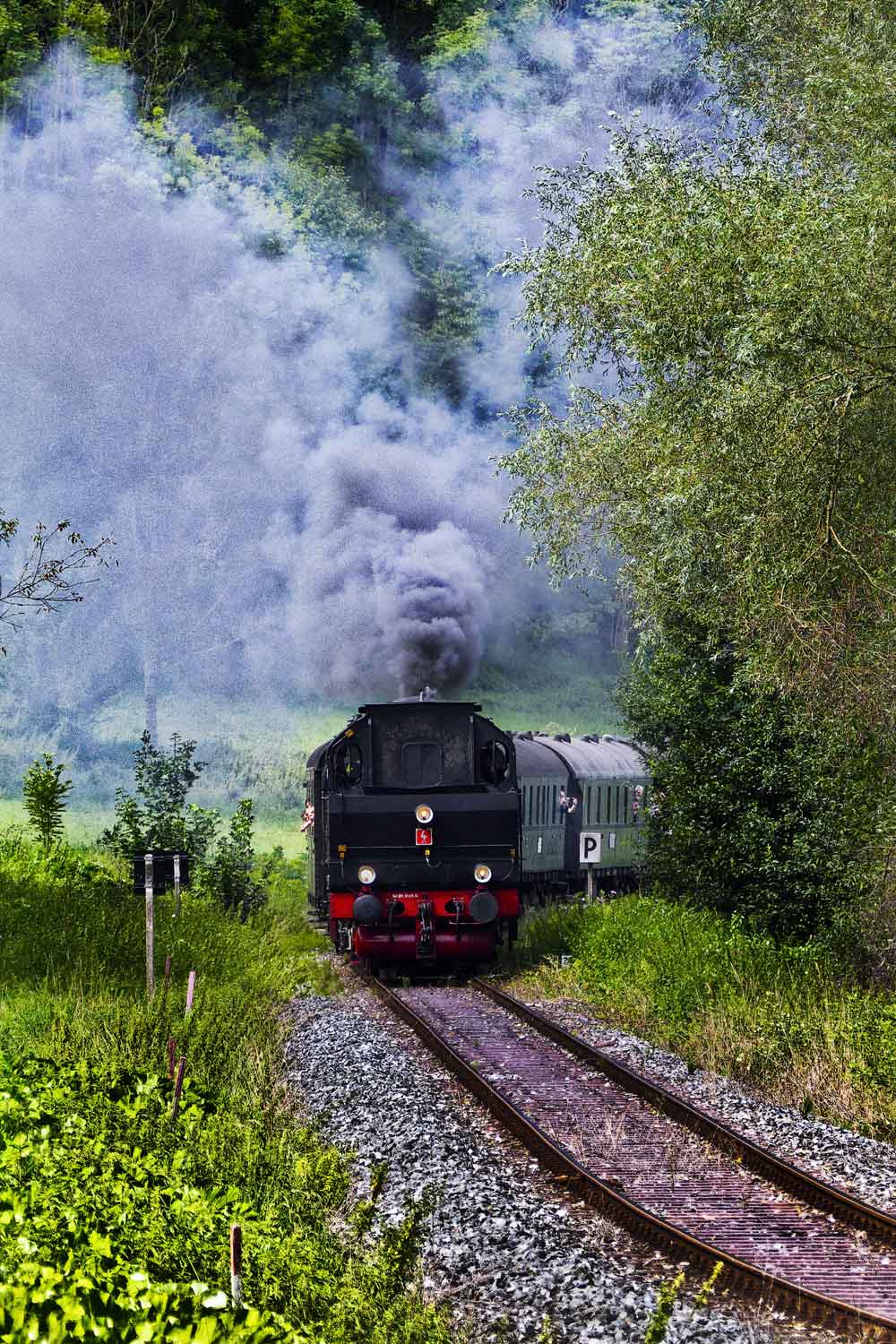 Vintage Steam Train Forest Door Wallpaper close-up pattern texture