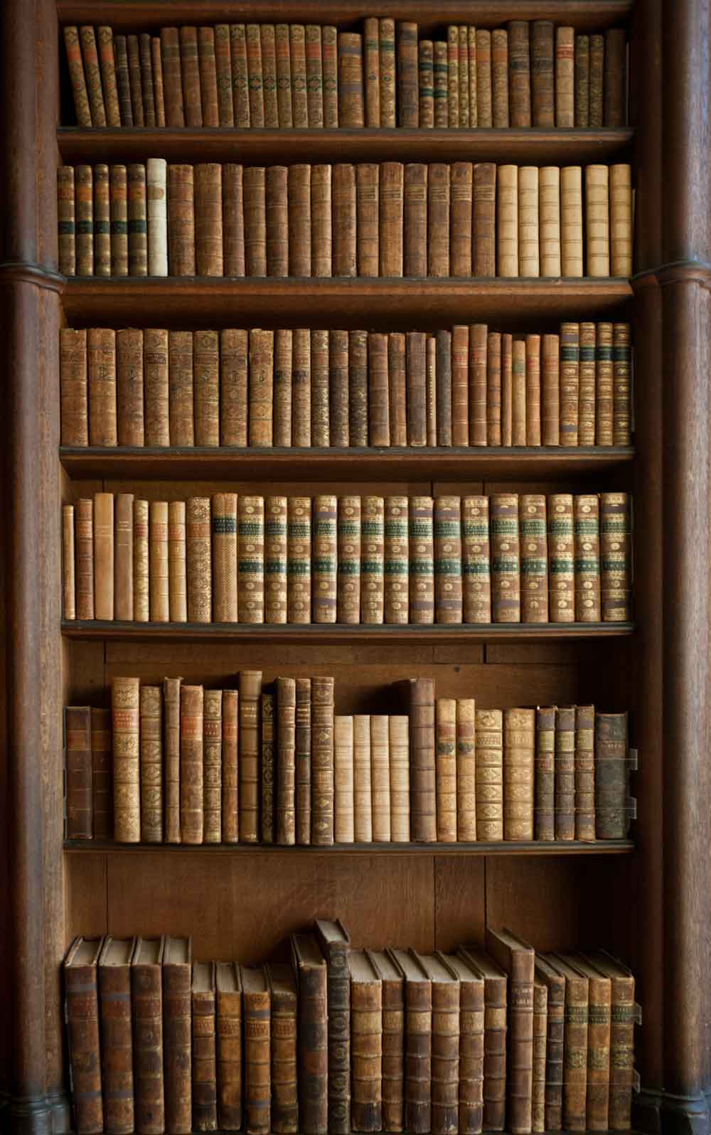 Vintage Library Bookshelf Door Wallpaper close-up pattern texture