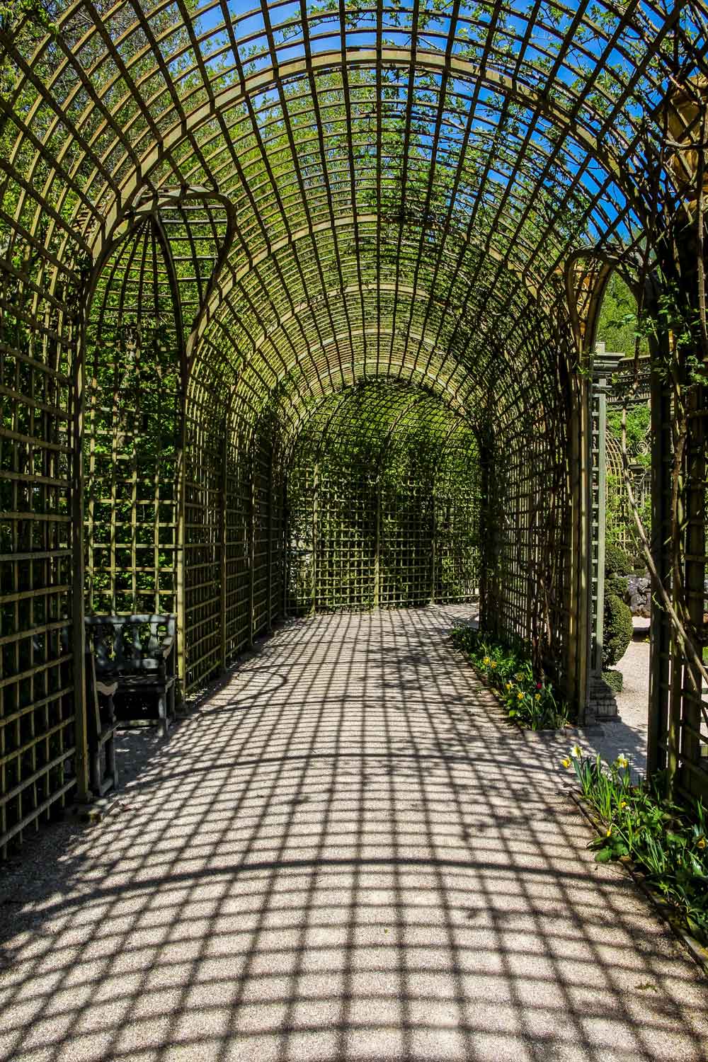 Garden Pergola Green Tunnel Door Wallpaper close-up pattern texture