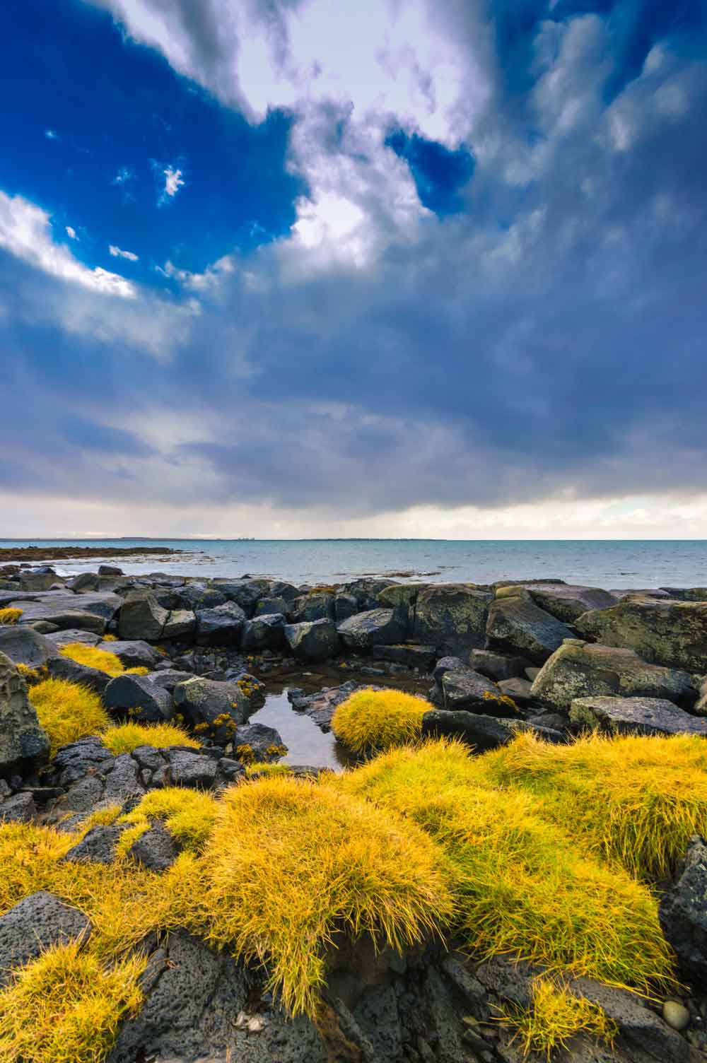 Rocky Coastal Seascape Door Wallpaper close-up pattern texture