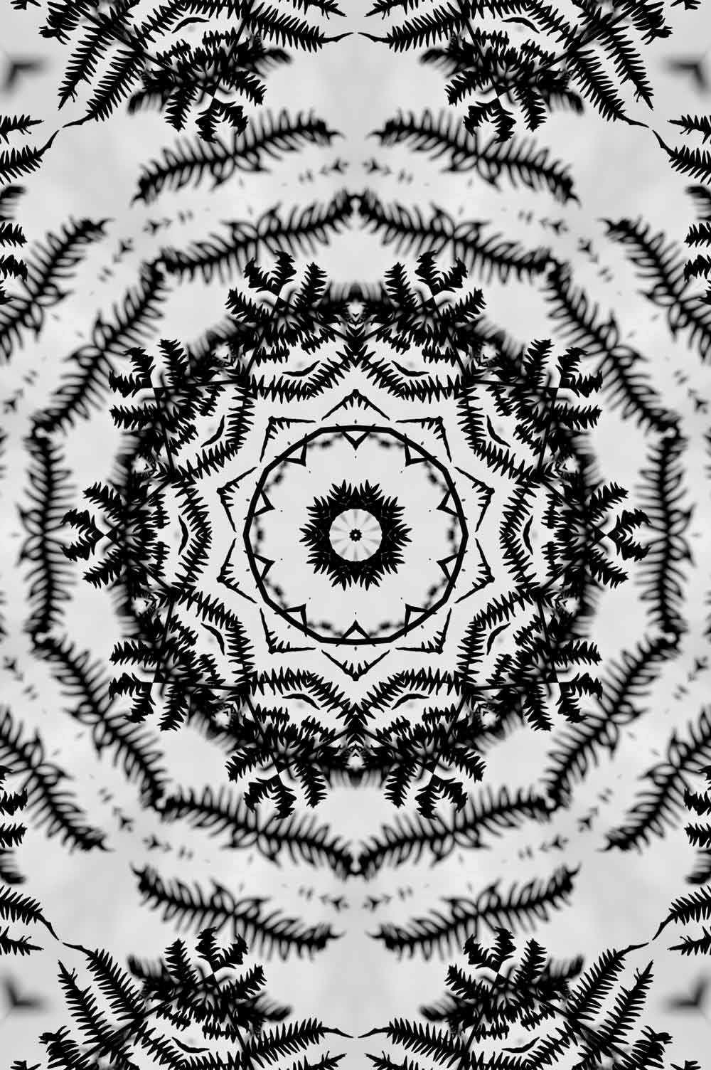 Black and White Mandala Door Wallpaper close-up pattern texture