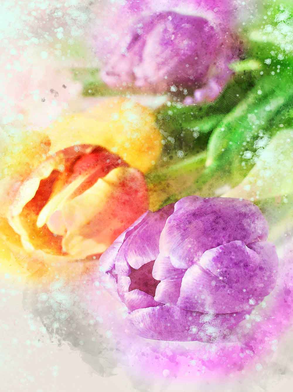 Watercolour Tulip Flowers Door Wallpaper close-up pattern texture
