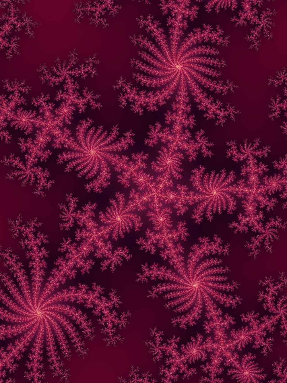 Dark Magenta Fractal Spiral Door Wallpaper close-up pattern texture
