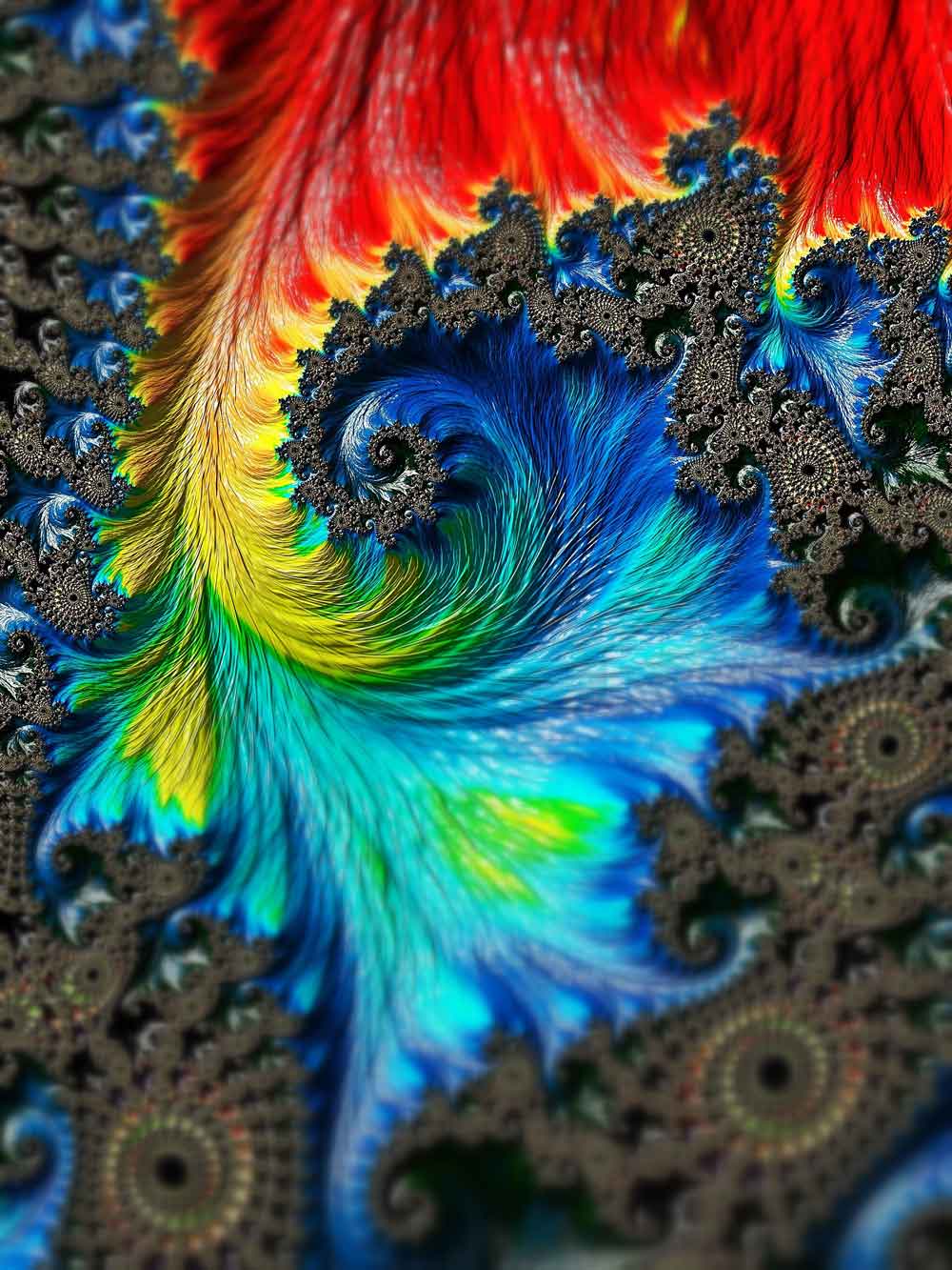 Rainbow Fractal Feather Wave Door Wallpaper close-up pattern texture