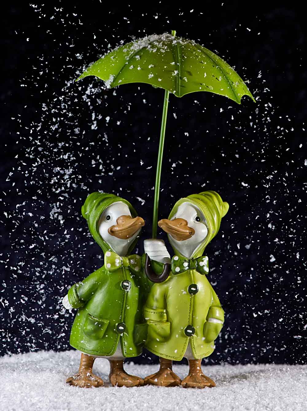 Duck Couple in Rain Door Wallpaper close-up pattern texture