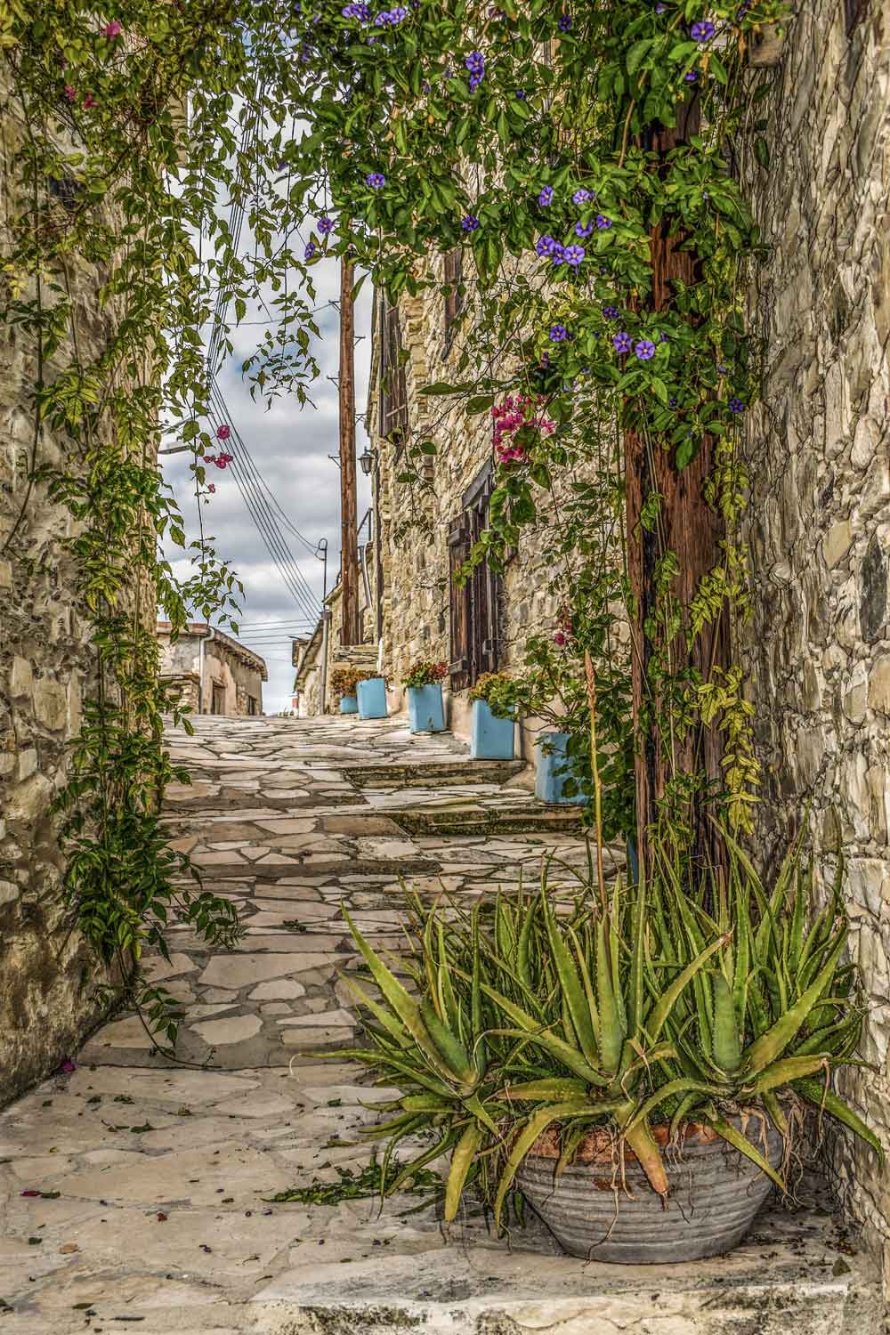 European Village Street Door Wallpaper close-up pattern texture
