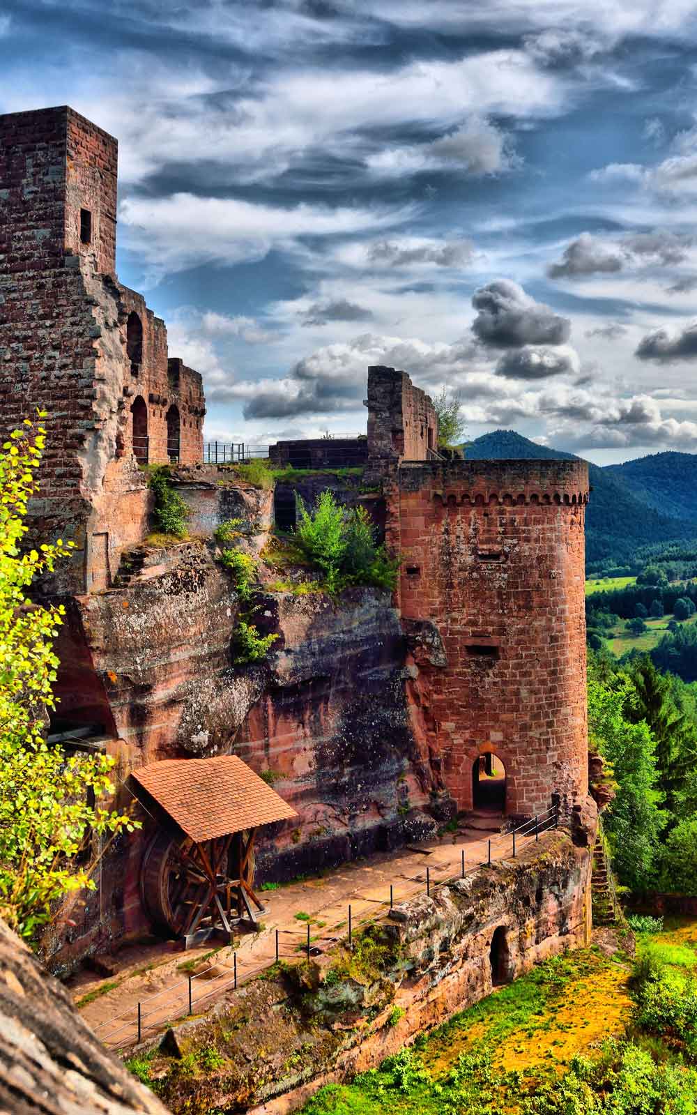 Medieval Castle Ruins Door Wallpaper close-up pattern texture