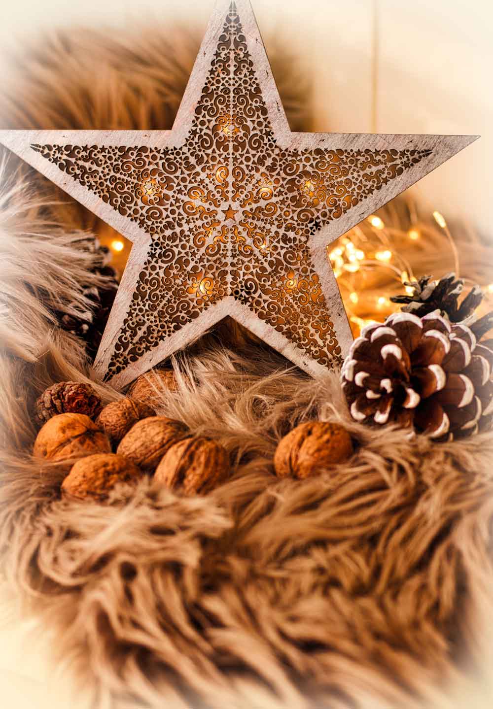 Christmas Star Lantern Door Wallpaper close-up pattern texture