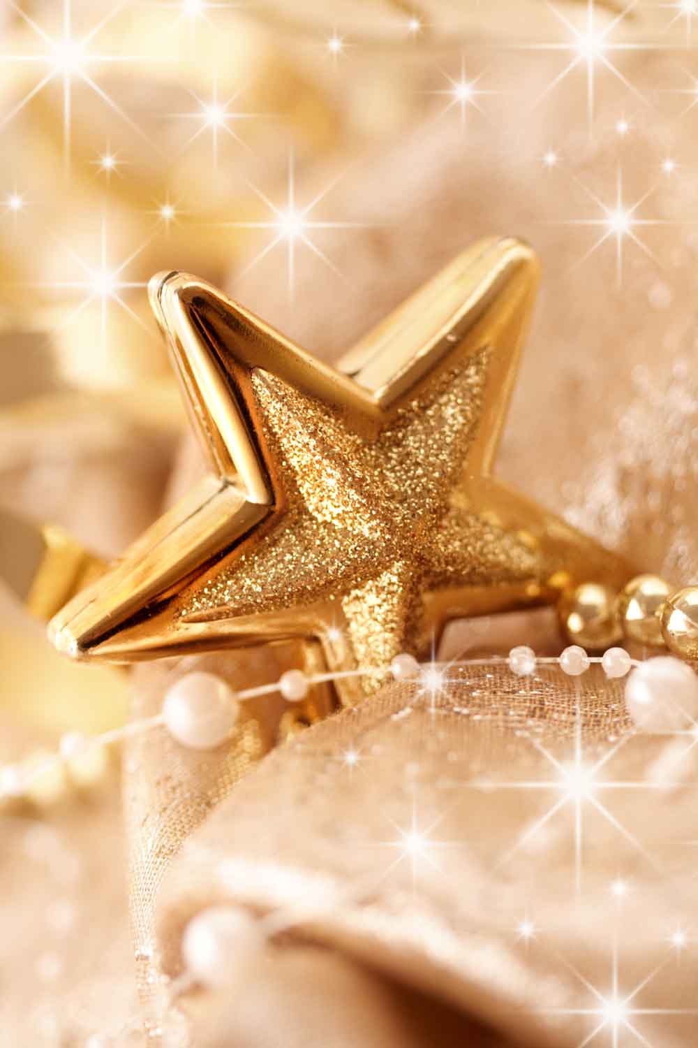 Close-up of the sparkling gold star and pearl bead detail on the Christmas door mural print