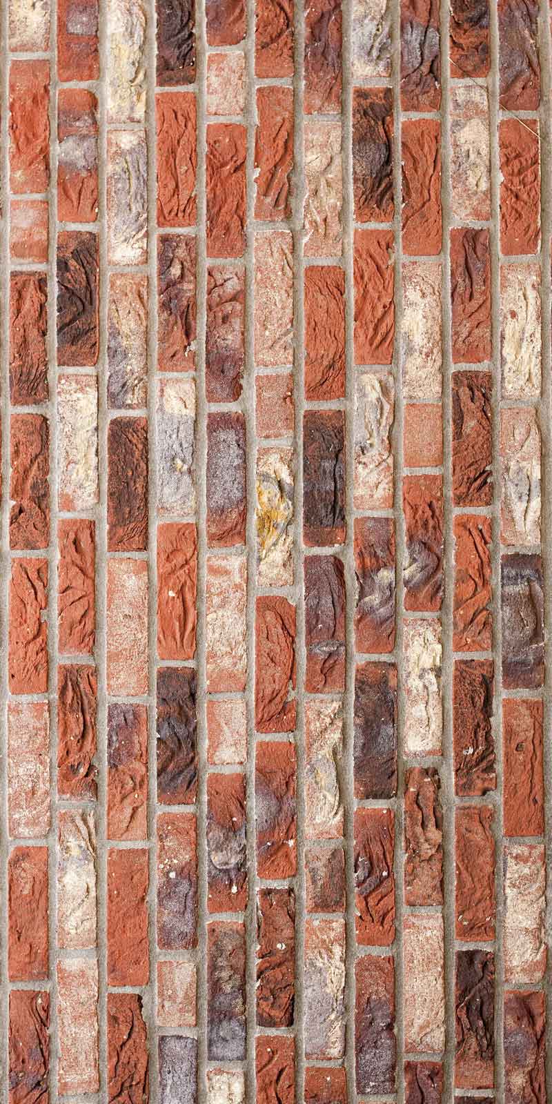 Sun-Dappled Bamboo Forest Door Wallpaper close-up pattern texture