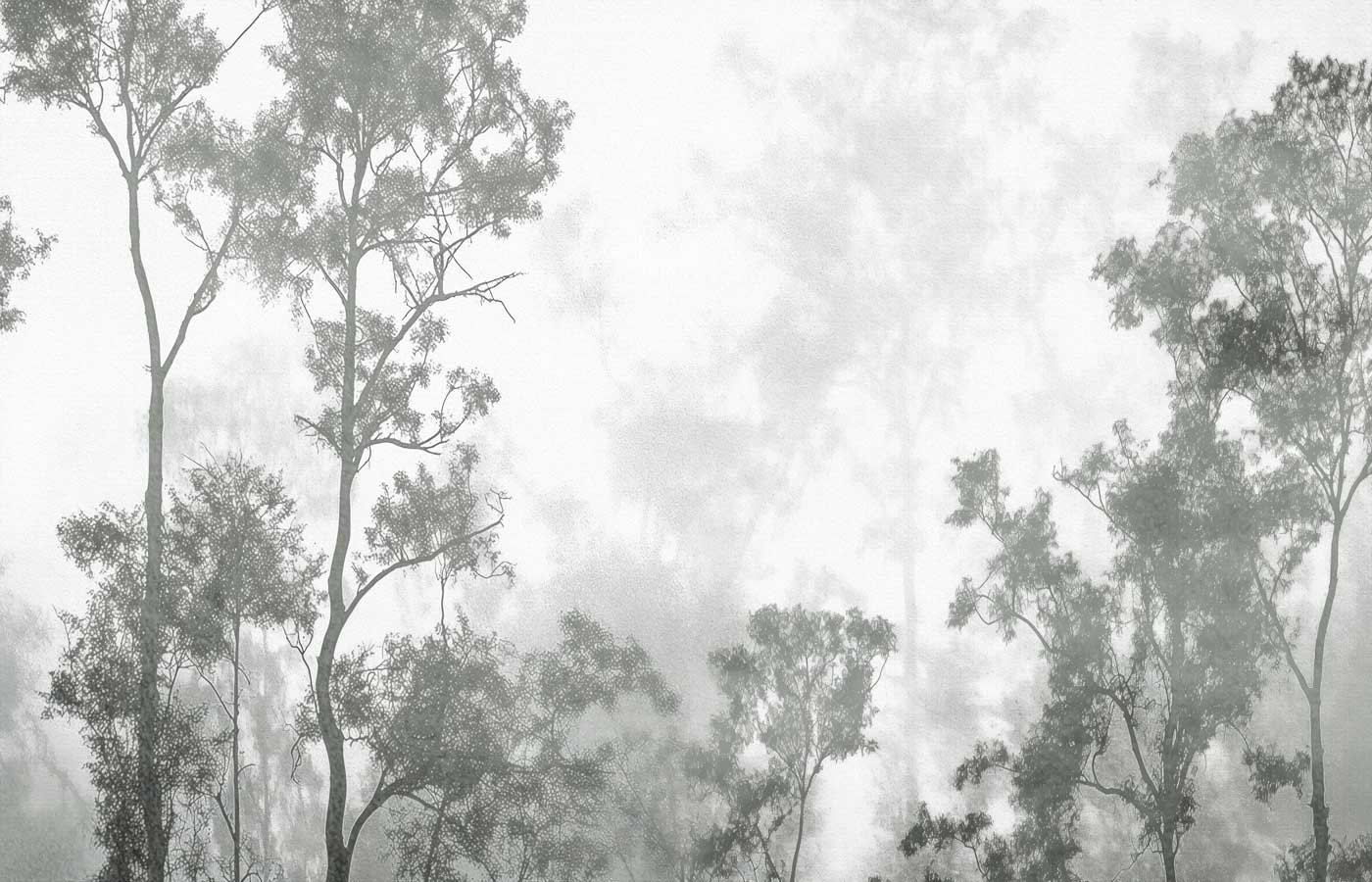 Misty Morning Forest Trees Black & White Wallpaper Mural — image 2 of 2