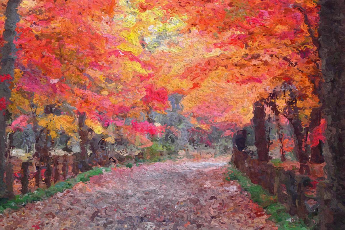 Tranquil Nature Walkway Large Canvas – view 2