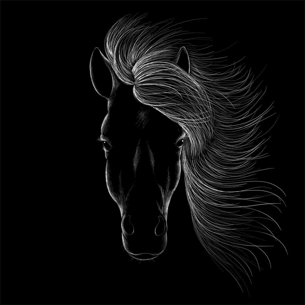 Majestic Horse Canvas Wall Art for Home and Office - Premium Horse Canvas Print - Close-up View - Canvas Groove India