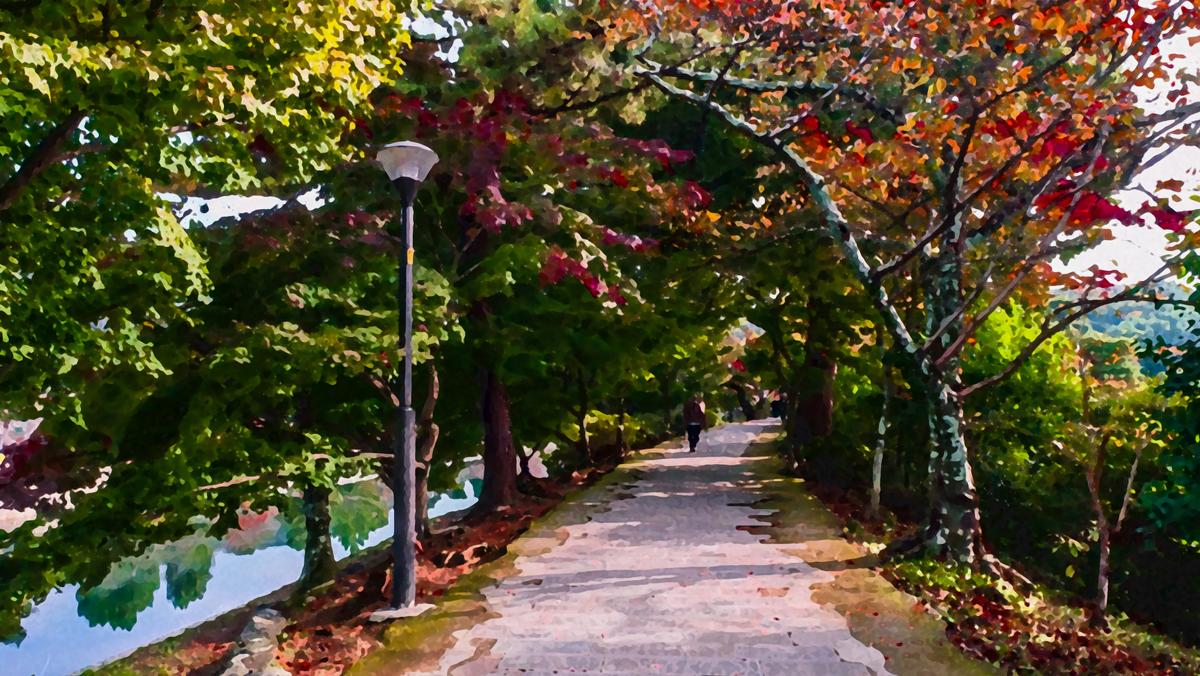 Enchanted Sunlit Forest Path - Large Canvas Wall Art – view 3