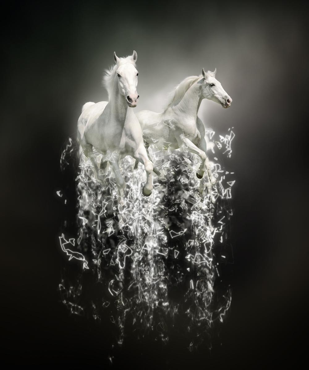 Minimalist White Horse Canvas Print - Premium Horse Canvas Print - Close-up View - Canvas Groove India