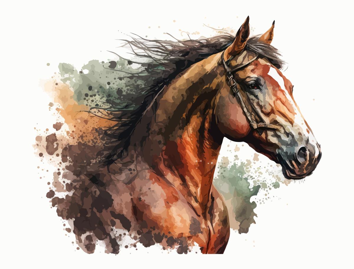 Black and White Stallion Canvas - Premium Horse Canvas Print - Close-up View - Wall Art for Home Decor - Canvas Groove India