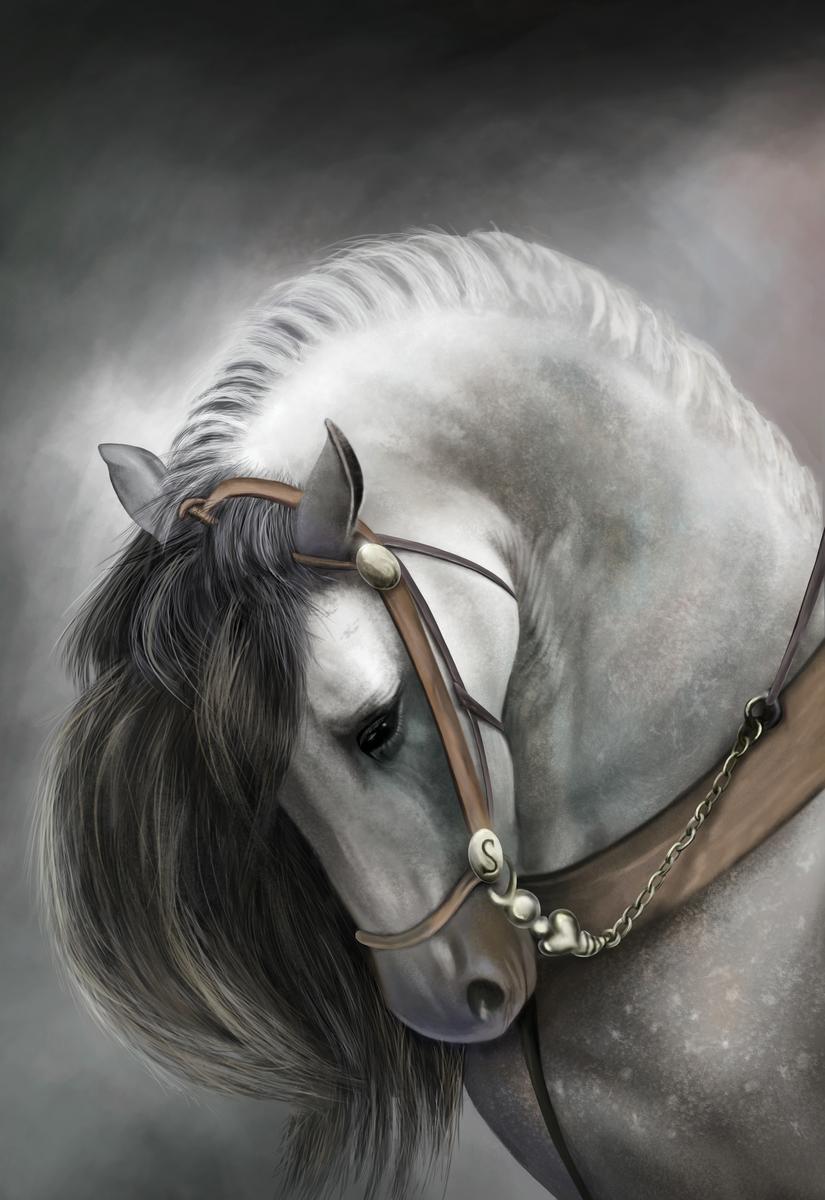 Dynamic Equine Herd Canvas Wall Art - Premium Horse Canvas Print - Close-up View - Canvas Groove India