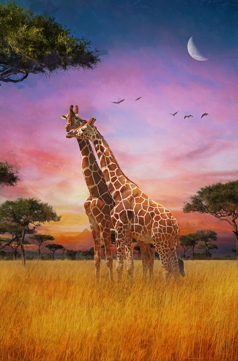 Big Canvas Art: African Heritage Print – view 4
