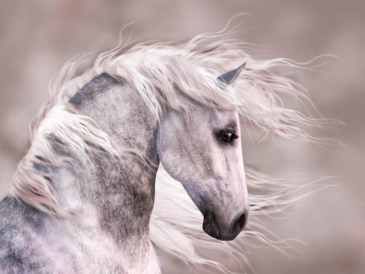 Majestic Running Horse Canvas Wall Art - Premium Buddha Canvas Print - Close-up View - Canvas Groove India