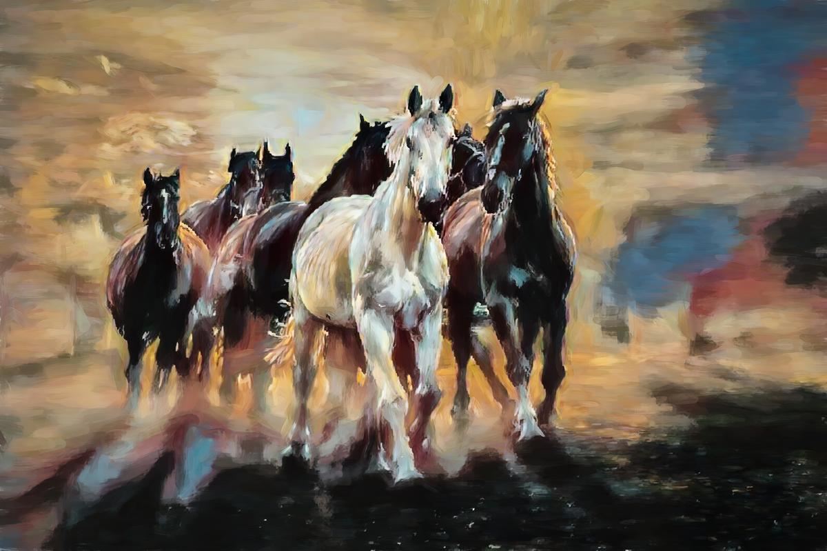 Elegant White Arabian Horse Canvas – view 4