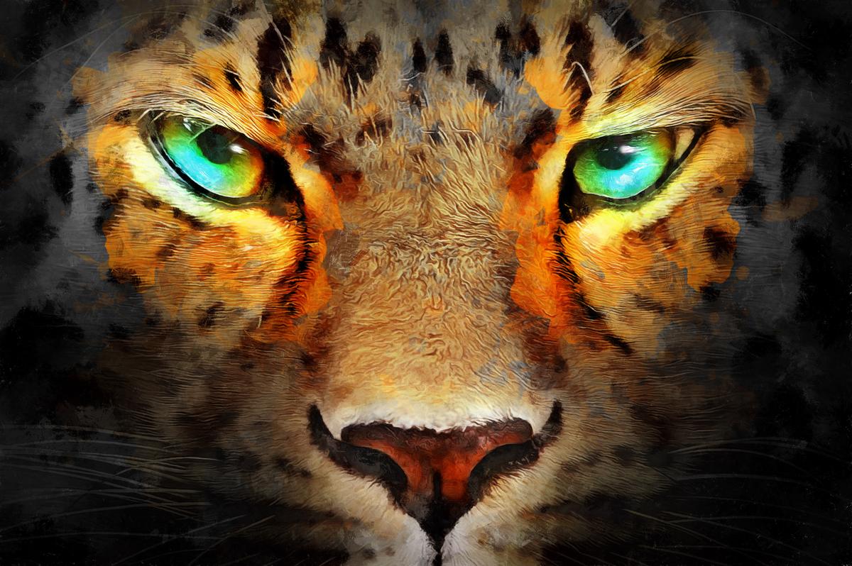 Enchanting Wildlife Canvas Art - Best Canvas Prints – view 4