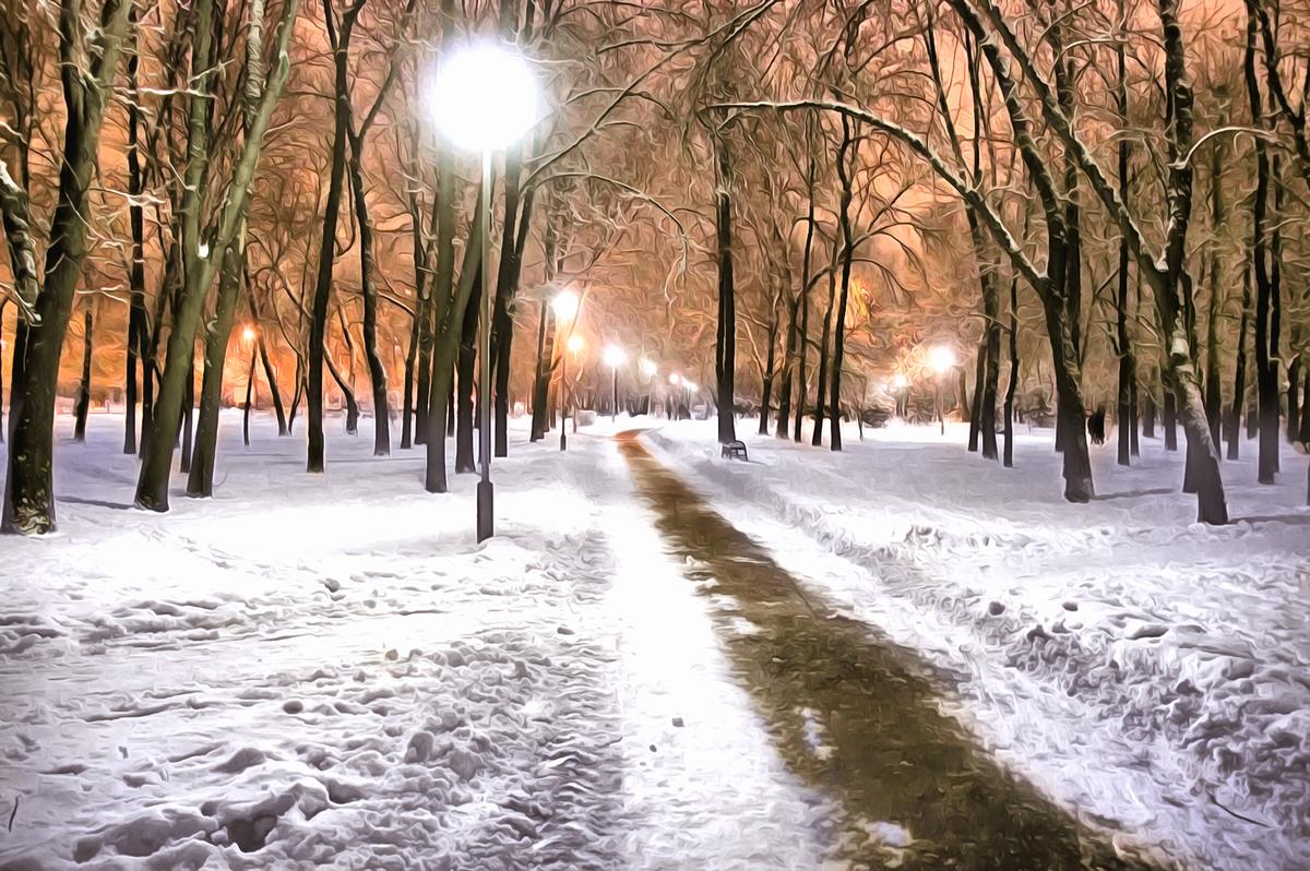 Winter Snow Covered Forest Road - Big Canvas Art – view 4