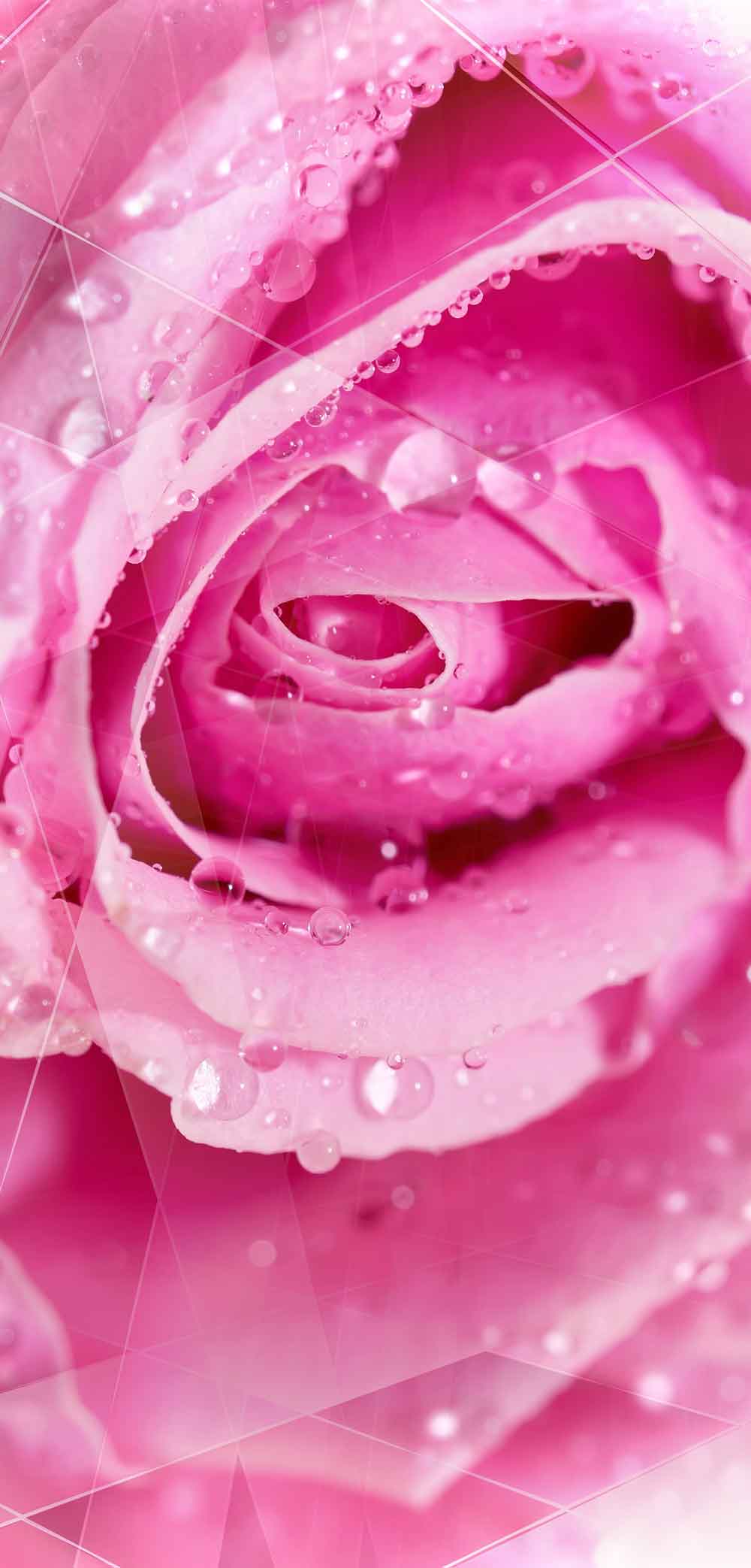 Realistic Rose Fridge Vinyl Skin | Canvas Groove – view 2