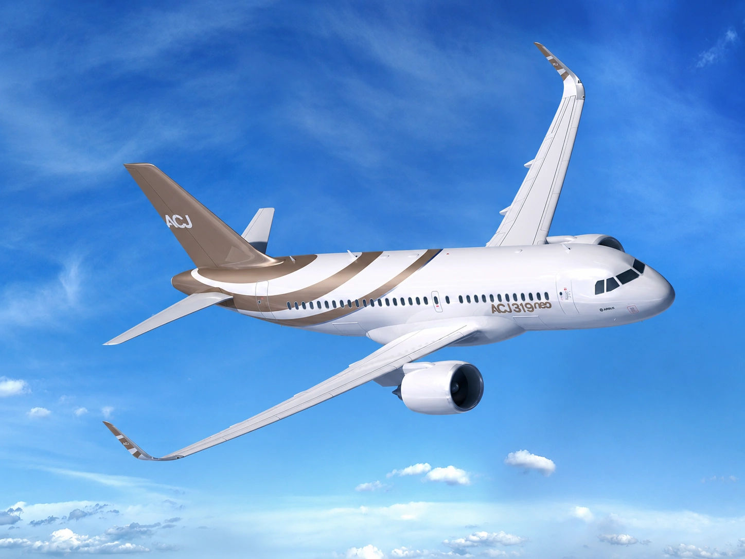 Airbus ACJ319neo aircraft in flight