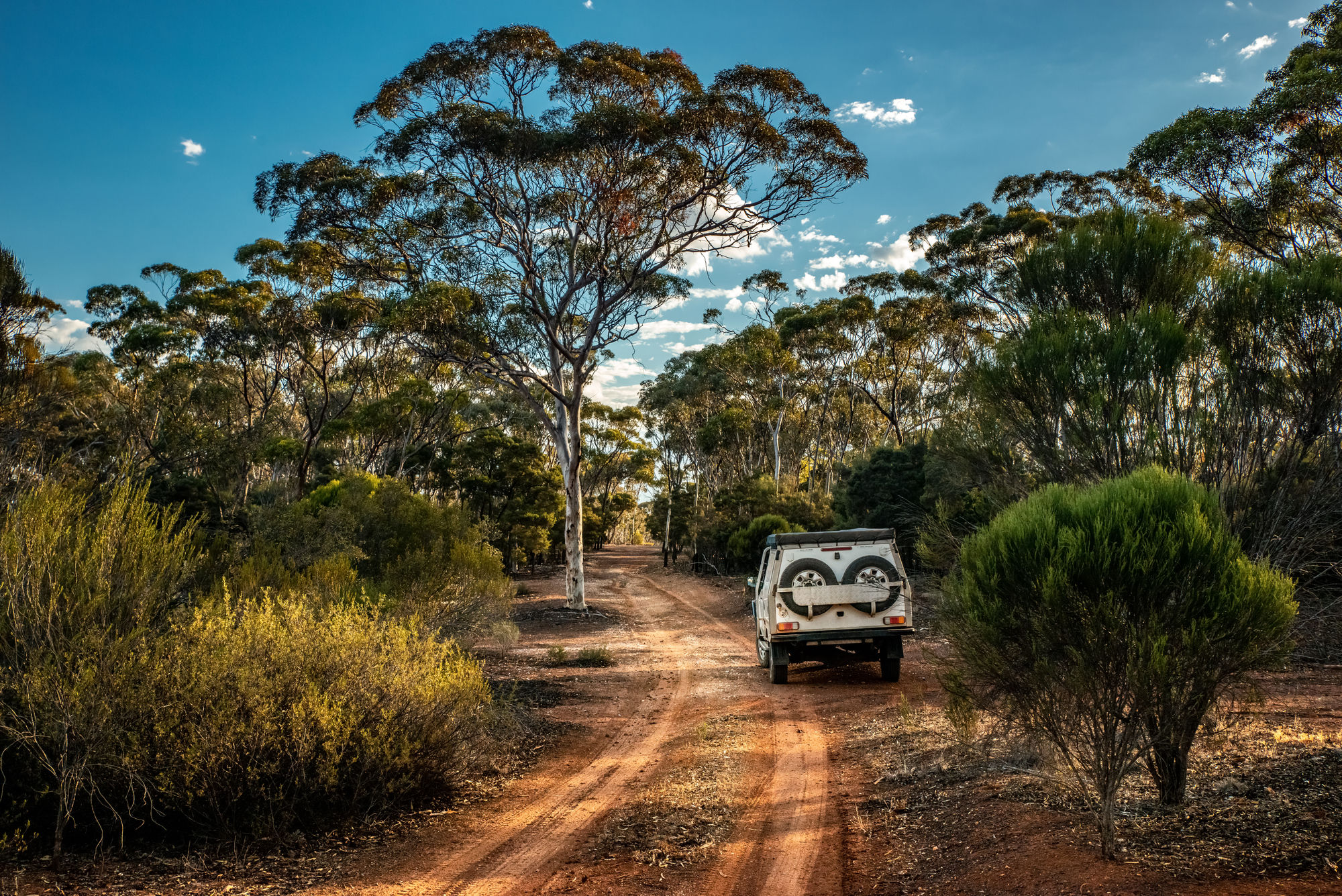 Kirrama Range Road Track