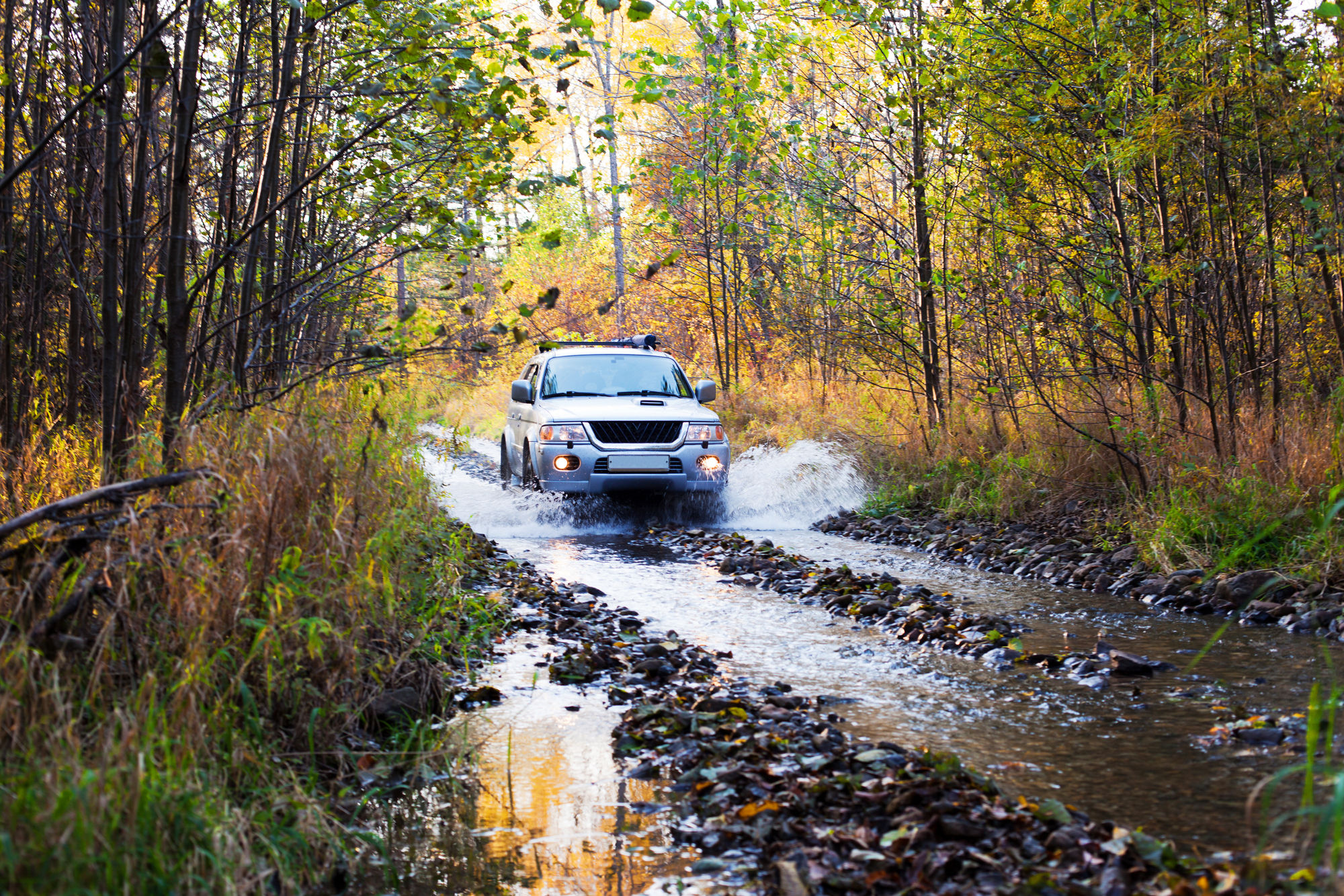 Darkes Forest 4WD Trail