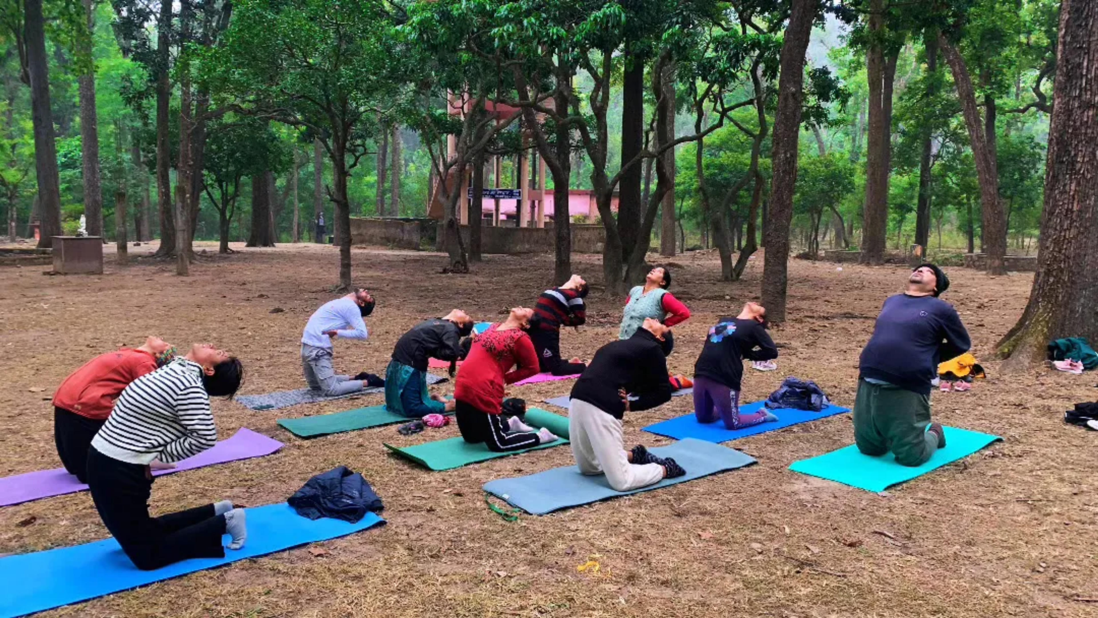 Terrace Yogshala class — photo 2