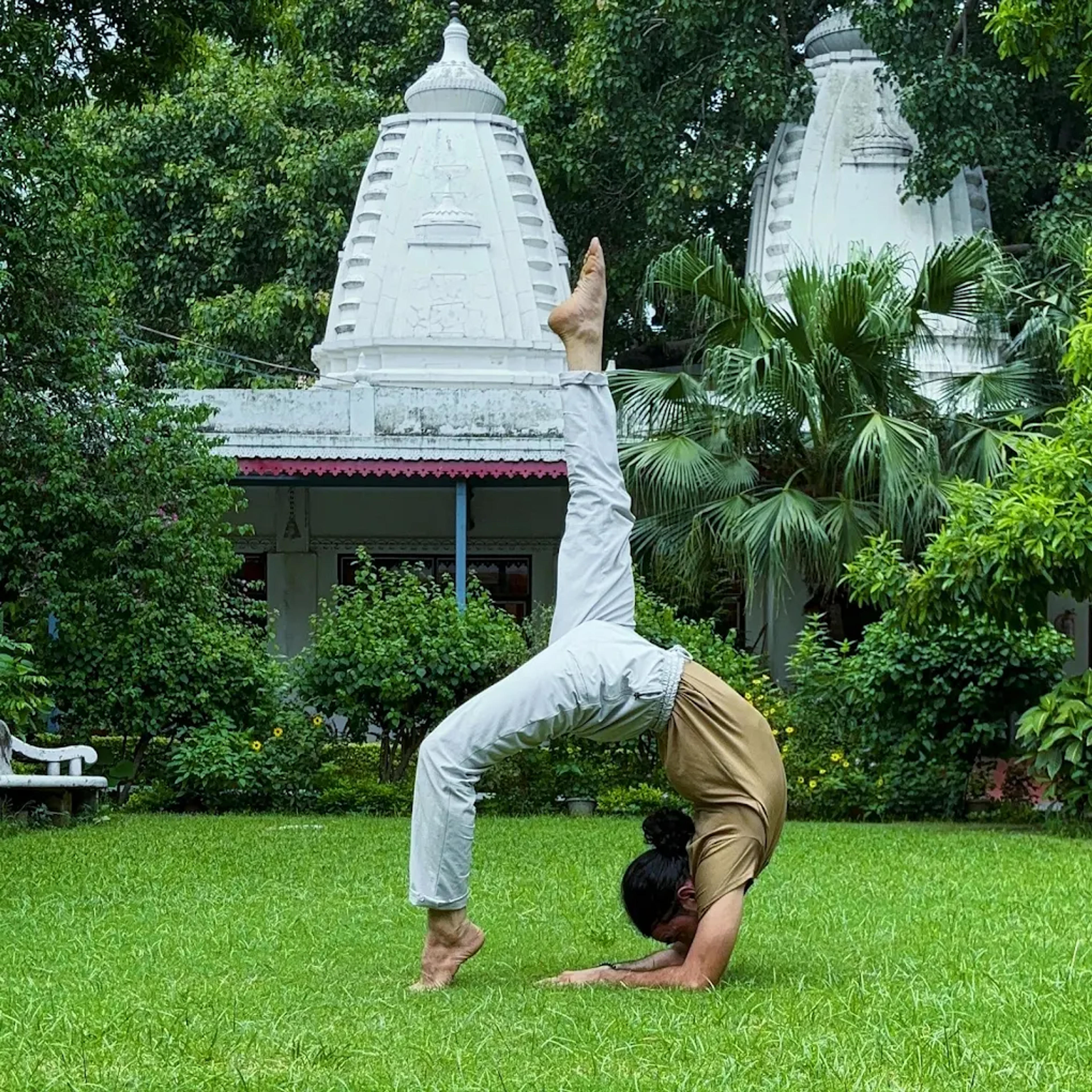 Terrace Yogshala class — photo 4