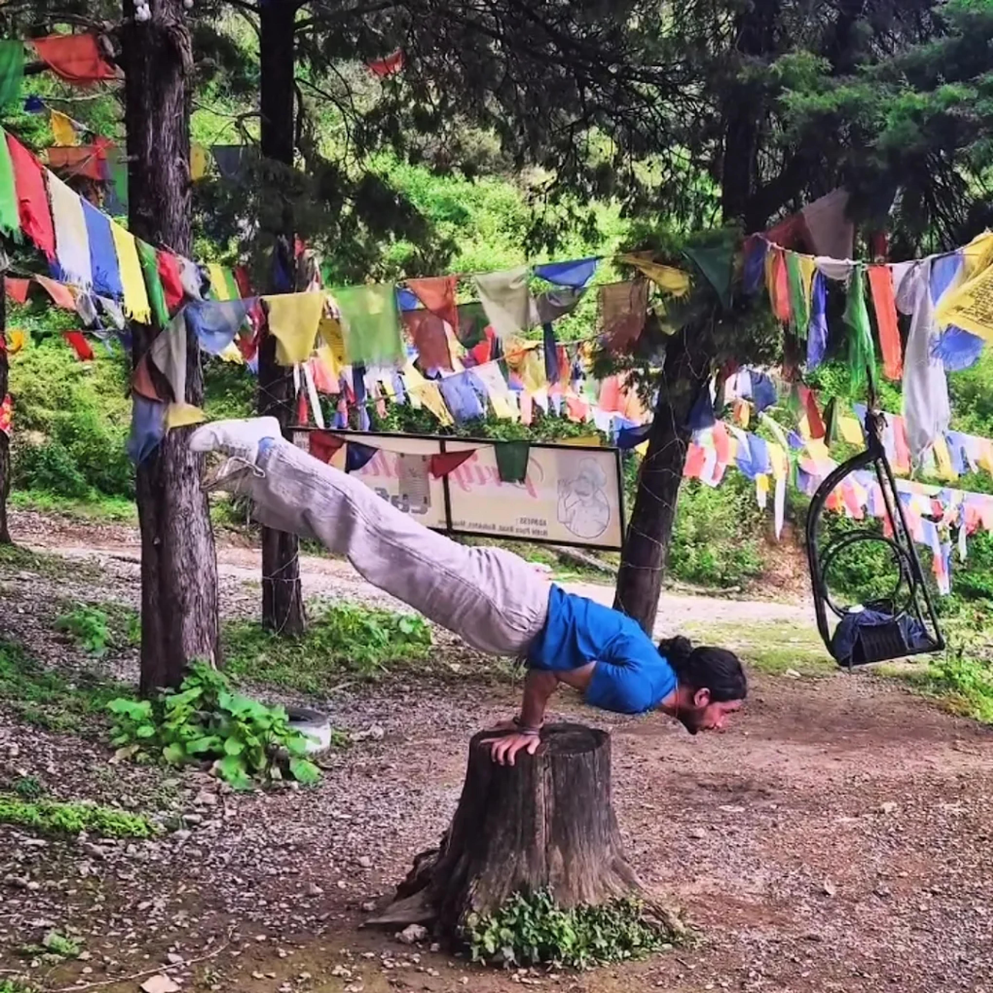 Terrace Yogshala class — photo 7