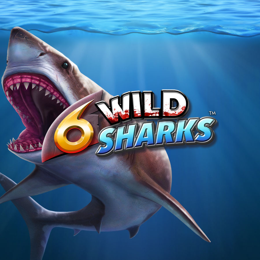 6 Wild Sharks