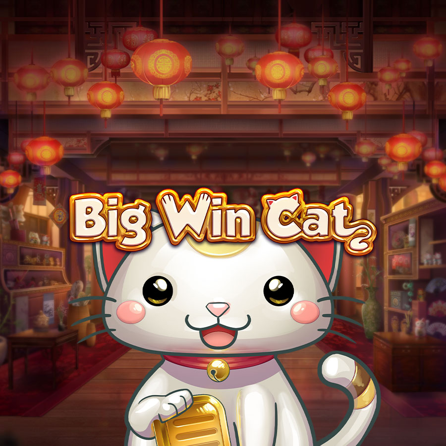 Big Win Cat